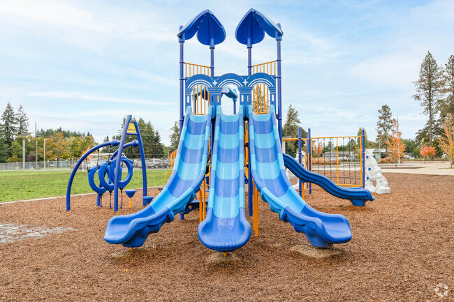 Kids adore playing on the playground at Elmira Elementary School.