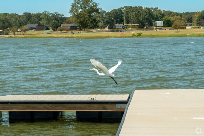 Watch the wildlife at Lakeside Park.
