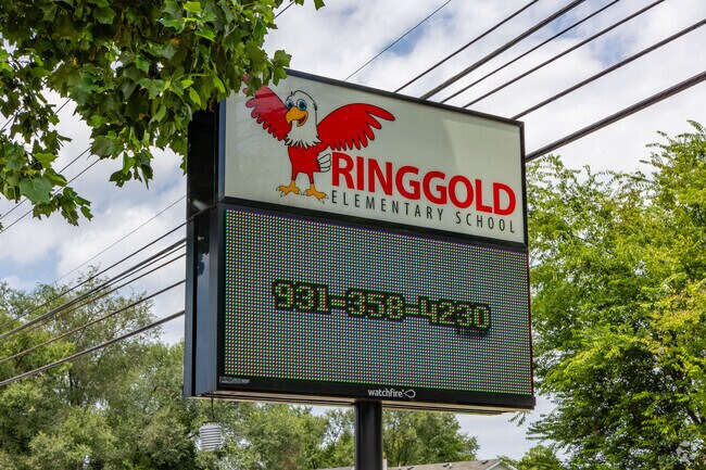 Ringgold Elementary School is the home of the Eagles!