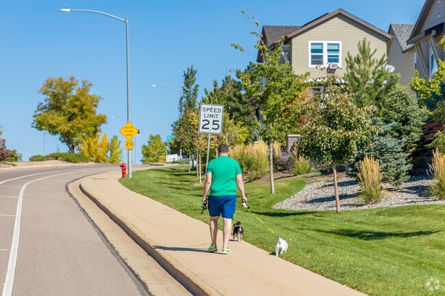 Many people in Shaw Heights are dog owners.