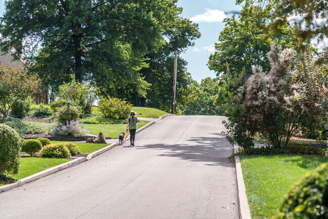 Quiet streets make for a very walkable neighborhood in Ben Avon Heights.