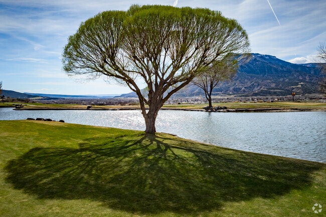 The stunning environment of Battlement Mesa, Colorado, is enhanced by its diverse trees, including tall pines and colorful aspens. These trees not only add beauty to the landscape but also provide shade and shelter, making the area a perfect place to connect with nature.