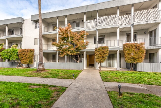The Palms at Coddingtown, Santa Rosa, CA 95403 - photo 5
