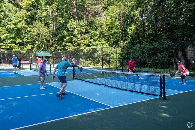 Joanie Moser Park has a lot of pickleball courts for residents of Lewisville to enjoy.