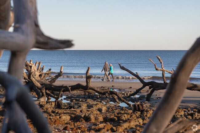 Enjoy a peaceful walk on the beach with stunning views at Botany Bay Beach on Edisto Island.