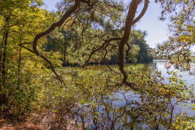 The Norfolk Botanical Gardens are a quick drive from Brandon Place.