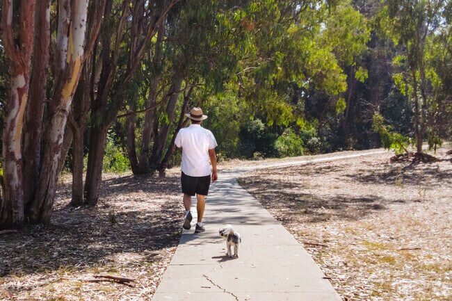Walk your dog at Evergreen park in El Encanto Heights.