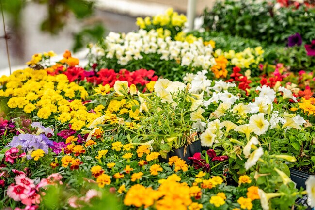 Tony's Foodland has a large selection of flowers in the Joelton Neighborhood.