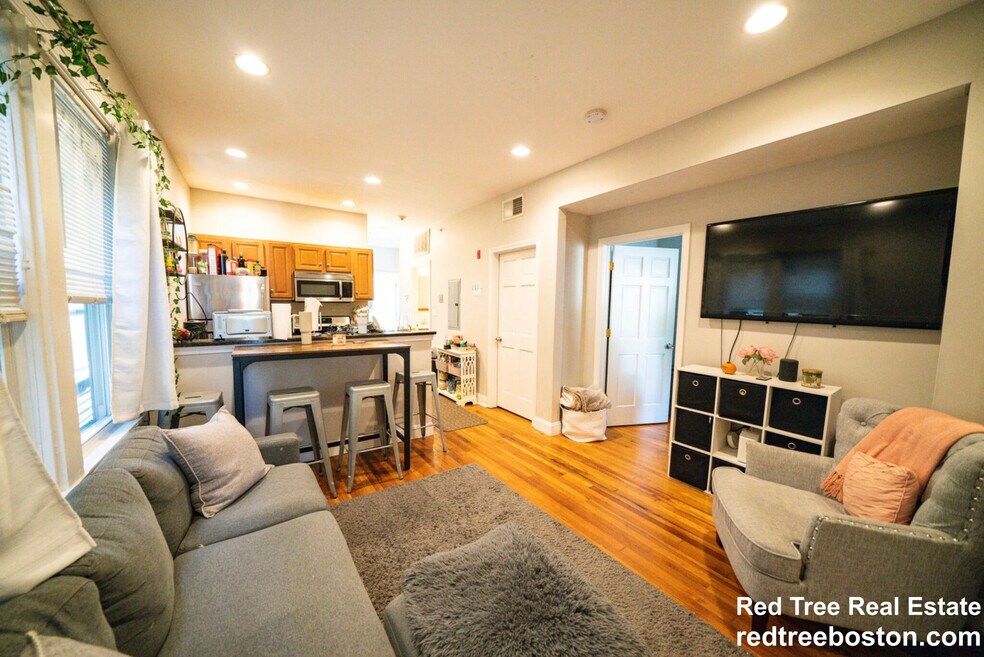 3 Alleghany St unit 2, Roxbury Crossing, MA 02120 - photo 1