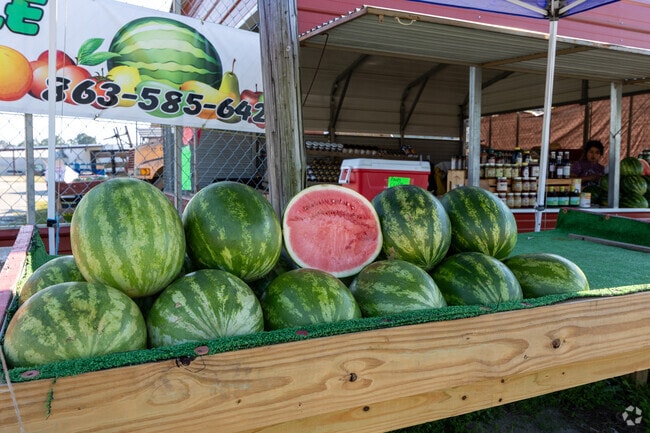 Cordele, GA, proudly holds the title of the watermelon capital of the world, known for its exceptional quality and abundance of this popular fruit.