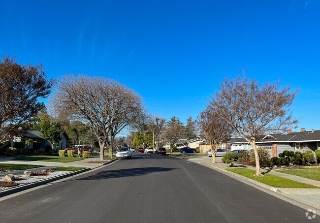 Wide, spacious streets with walking paths in the Paynes neighborhood.