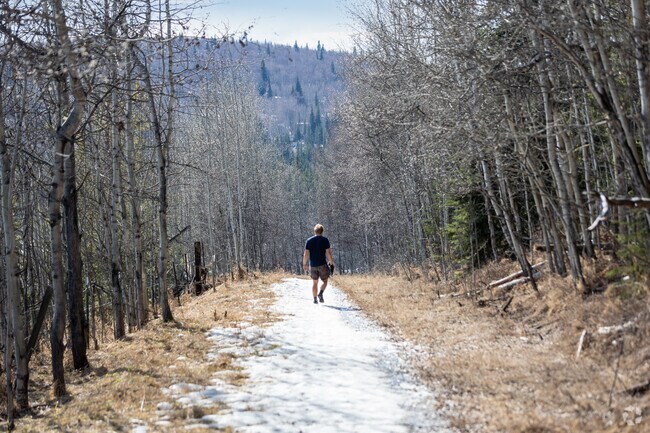 A man enjoys a peaceful walk through the University of Alaska Fairbanks Trail System.