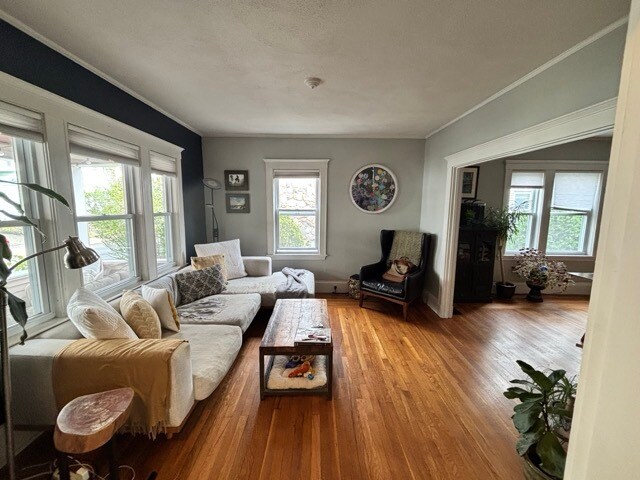 24 Teele Ave, Somerville, MA 02144 - photo 2