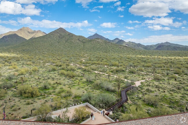 Discover the natural beauty of McDowell Sonoran Preserve near Grayhawk.