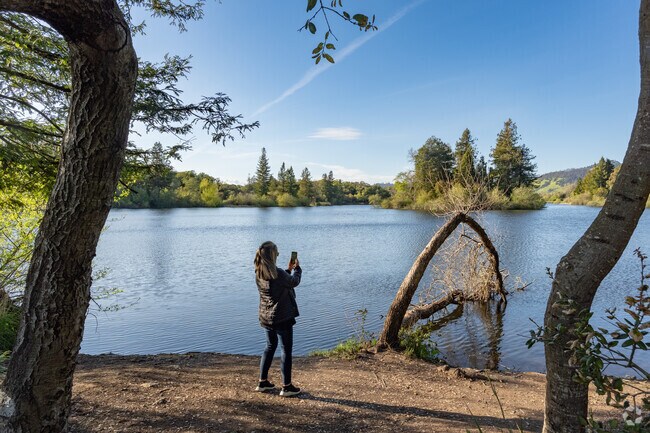 Residents head to Spring Lake for calming reflection in Bennett Valley.