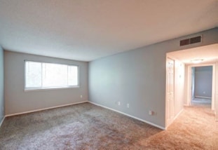 1305 Hunter Oaks Ln unit 115, Charlotte, NC 28213 - photo 7