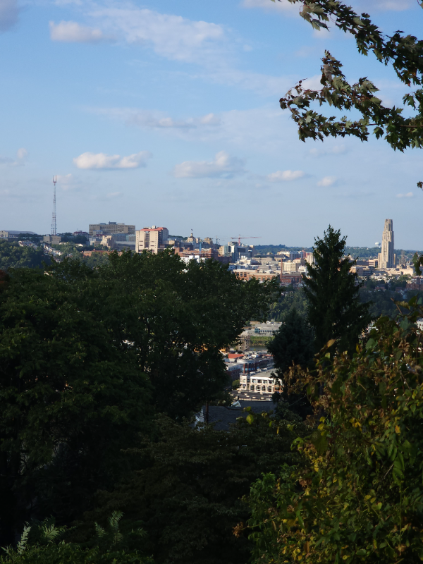 2707 Cobden St, Pittsburgh, PA 15203