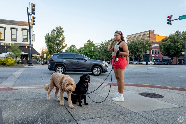 Downtown Macon is a lively area with historic sites, boutique shops, and diverse restaurants.