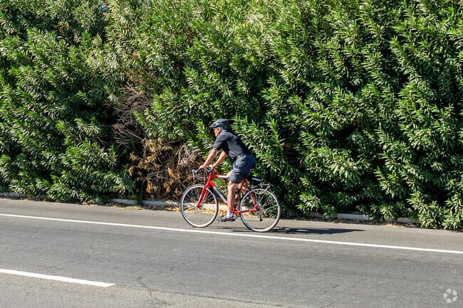 Biking around the border of the Avondale gated community is a popular activity.