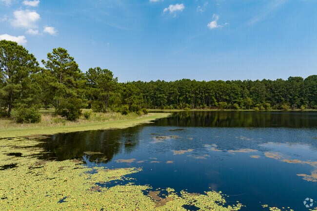 Large lake at L Scott Stell Park located in Savannah, GA.
