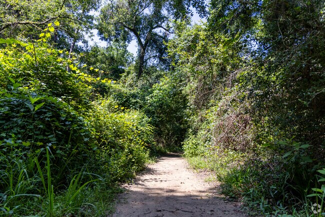 Hike through the lush greenry that creates tunnels over the trails at George Mitchell.