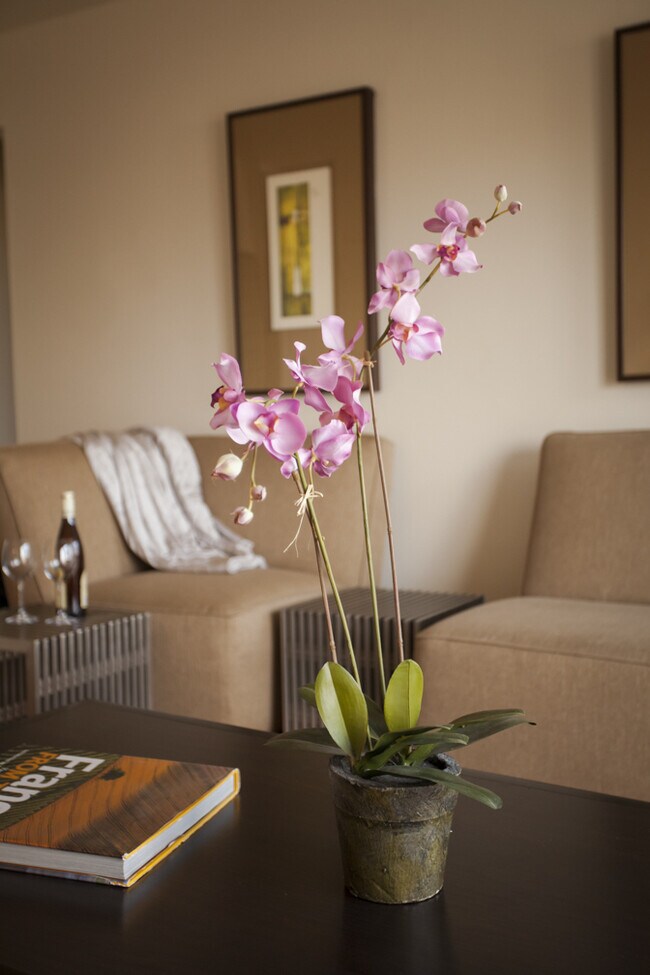 SDK Lodi Apartments, Lodi, NJ 07644 - photo 4