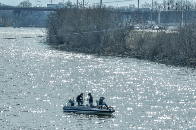 Fishermen near Grand Victoria Casino search for their catch of the day in Far West Elgin.