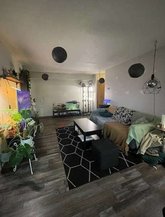 903 11th Ave S unit 3, Hopkins, MN 55343 - photo 5