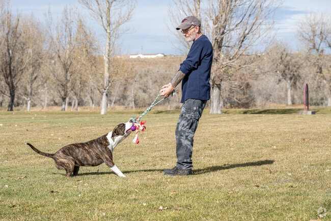 Furry friends love to get outside and enjoy the fresh air in East Casper.