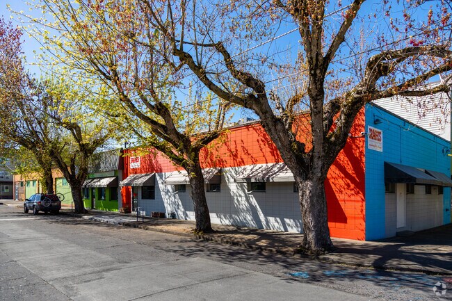 Rosemary Anderson High School's trees with the start of spring leaves.