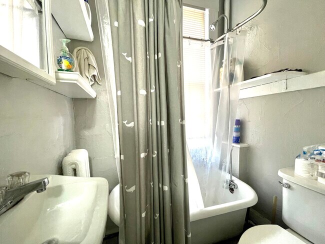 476 Massachusetts Ave unit 6, Boston, MA 02118 - photo 5