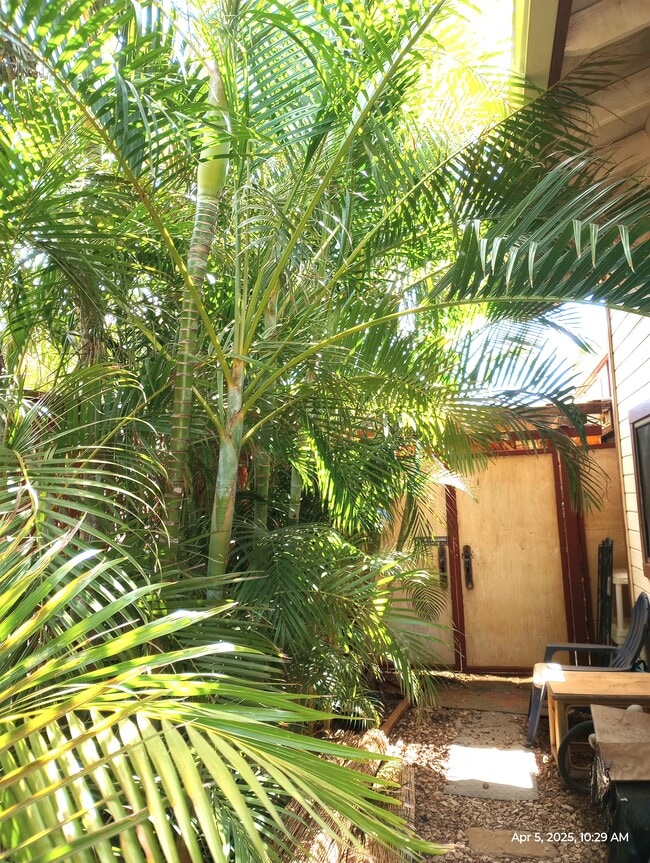 281 Kaikea St unit Tiny Ohana 2story, Kihei, HI 96753 - photo 2