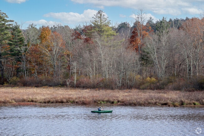 See what State Forest River has to offer living in Brimfield.