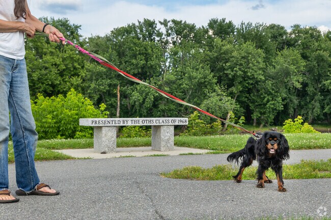 Pups enjoy walks along the Penobscot River near Milford.