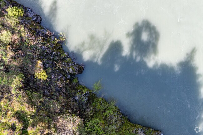 Head to Tish Tang Campground if you love nature, wildlife and waterfalls.