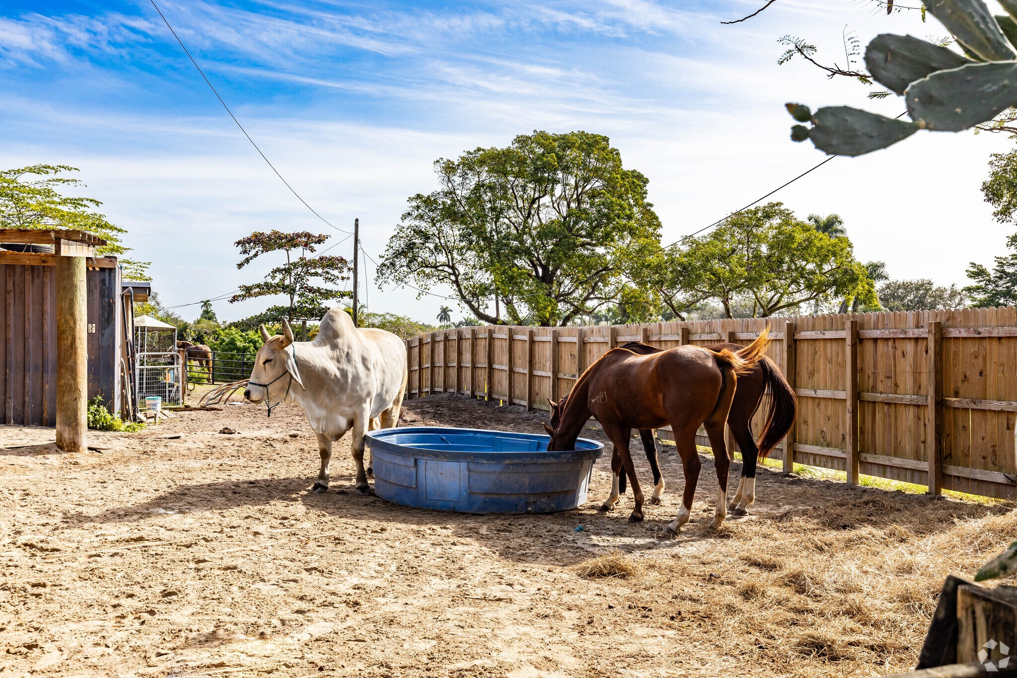 You can easily spot roaming animals on the many farms near Rock Creek.