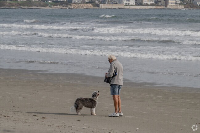 Playing on the beach with the dog is an easy walk from the Old Beach neighborhood nearby.