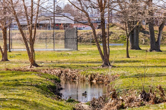 Discover diverse wildlife at Monocacy Village Park in Frederick, MD.