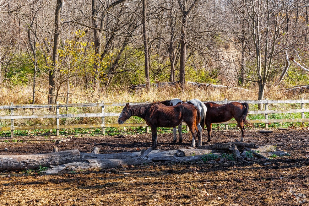 V1_Neighborhood_Pittsboro_11152023