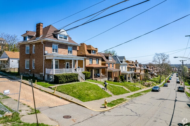 Large single-family homes line the streets in the Mount Oliver Borough.