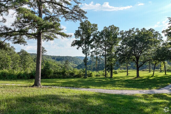 You'll find lots of beautiful camping sites at Chuck Swan State Forest in East Tennessee.