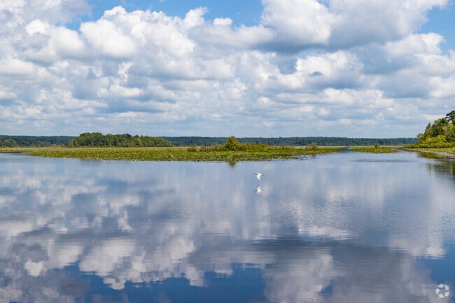 Lake Iamonia feels like another world with its abundant wildlife and natural beauty.