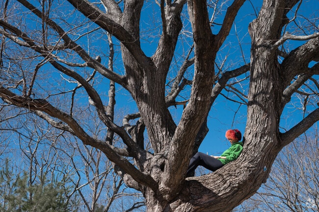Newton Square residents get to enjoy and interact with nature while being close to Downtown Worcester.