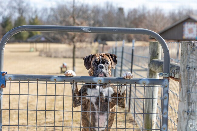 The Freedom Park Dog Park of Lowell is a great place for dogs of all sizes.