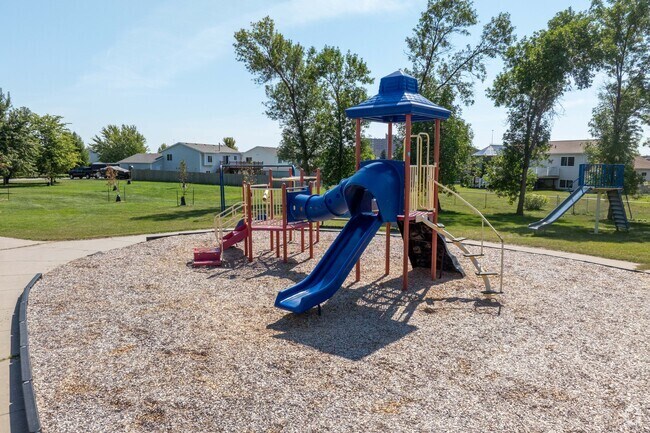 A fun swing set at Arbor Woods Park.
