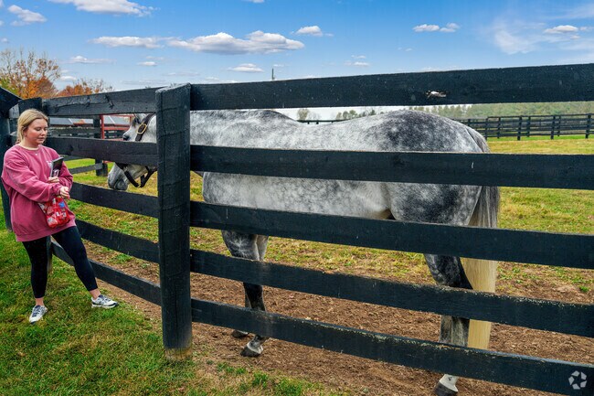 Feeding beautiful horses at local farms is just minutes from Northeast Nicholasville.