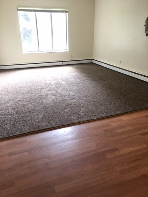 Carpeted Living Room