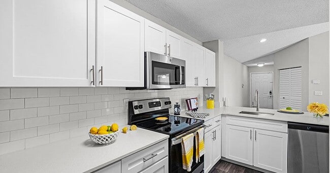 Sabal Palm at Lake Buena Vista Apartment Homes, Orlando, FL 32821 - photo 6