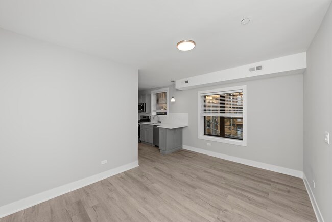 1133 Oak Ave unit A02C, Evanston, IL 60202 - photo 2