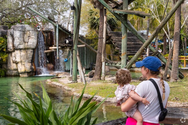 Zoo Tampa, in Lowry Park, is a wonderful place for young minds to begin learning the world.